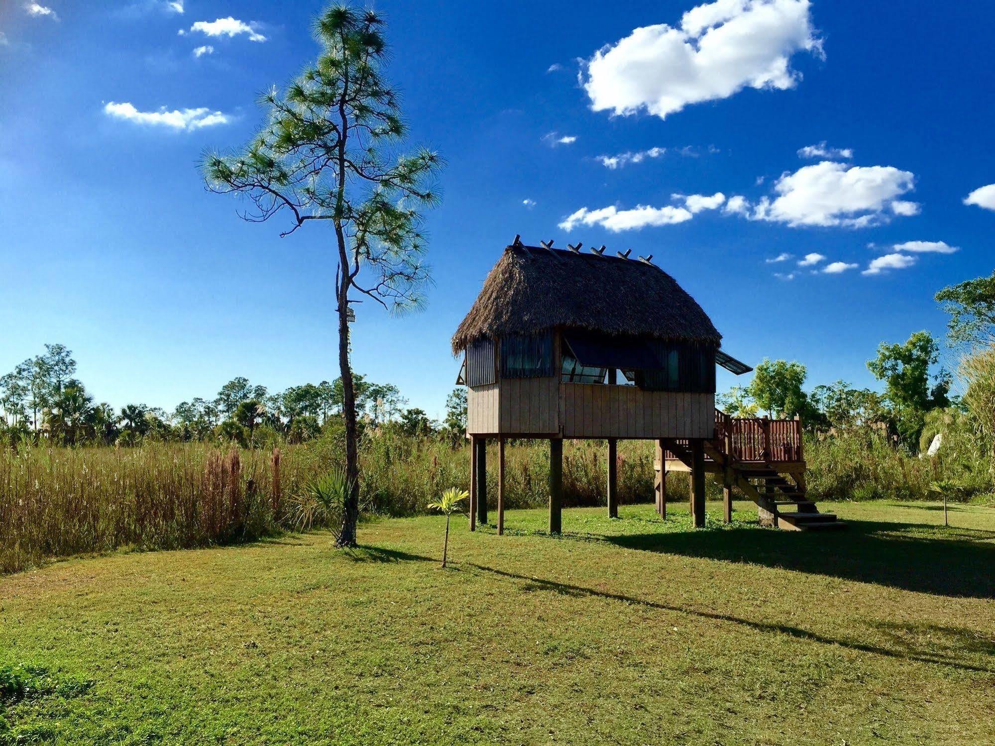 Everglades Chickee Cottage & Bungalow - Ochopee Kültér fotó