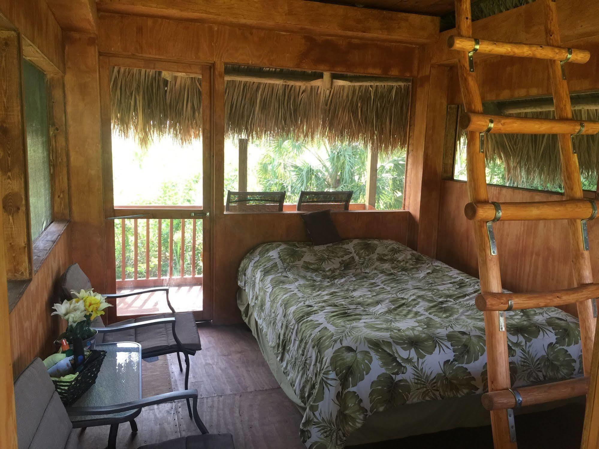 Everglades Chickee Cottage & Bungalow - Ochopee Kültér fotó