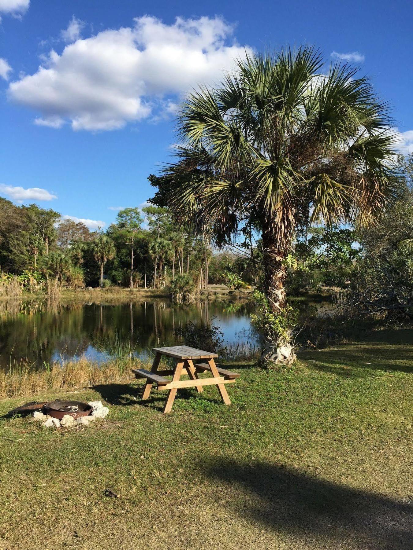 Everglades Chickee Cottage & Bungalow - Ochopee Kültér fotó